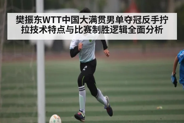樊振东WTT中国大满贯男单夺冠反手拧拉技术特点与比赛制胜逻辑全面分析